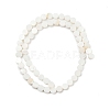 Natural Freshwater Shell Beads Strands SHEL-K010-03-2
