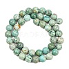 Natural Peruvian Turquoise(Jasper) Beads Strands G-F836-A02-8mm-3