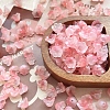 Lampwork Beads LS-PW-WGAB230-05-1