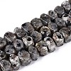 Natural Syenite Beads Strands G-N327-05-27-4