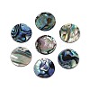 Natural Paua Shell Disc Charms SSHEL-N040-19B-1