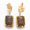 Natural Black Fossil Dangle Stud Earrings EJEW-K075-C01-2