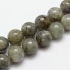 Natural Labradorite Bead Strands G-O155-05A-6mm-1