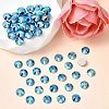 Preciosa® MAXIMA Crystal No Hotfix Flatback Stones Y-PRC-NSS10-60310-200-2