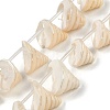 Natural Shell Beads Strands X-SHEL-K009-11-1