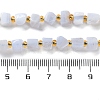 Natural Blue Lace Agate Beads Strands G-NH0036-01-5