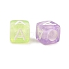 Transparent Acrylic Beads TACR-Q263-02A-01-3