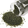 MIYUKI Delica Beads SEED-X0054-DB2404-1