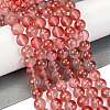 Frosted Transparent Glass Bead Strands GLAA-P065-10mm-06-1
