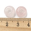 Natural Rose Quartz Beads G-Q173-03A-22-3