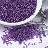 MIYUKI Round Rocailles Beads X-SEED-G007-RR1345-1