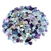 Natural Fluorite Tumbled Chips PW-WGA7DCE-04-1