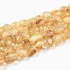 Natural Citrine Beads Strands G-G018-04-1