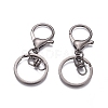 Iron Alloy Lobster Claw Clasp Keychain LS-X-KEYC-D016-B-1