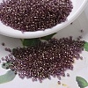 MIYUKI Delica Beads Small X-SEED-J020-DBS0108-1
