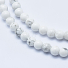 Natural Howlite Beads Strands G-P353-01-6mm-3