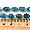 Natural Apatite Beads Strands G-N342-48-5