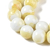 Baking Paint Glass Bead Strands GLAA-H031-01C-03-4