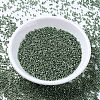 MIYUKI Delica Beads SEED-X0054-DB1845-2