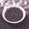 MIYUKI Round Rocailles Beads SEED-X0055-RR0302-2