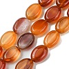 Natural Red Agate(Dyed & Heated) Beads Strands G-K365-B02-01-2
