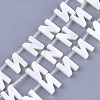 Natural Freshwater Shell Beads SHEL-T012-59N-1