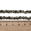 Natural Labradorite Beads Strands G-I389-A35-01A-5