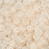 Transparent Colours Glass Seed Beads X1-SEED-P008-01B-06-2