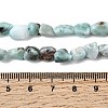 Natural Larimar Beads Strands G-P601-A20-02-5