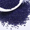 MIYUKI Delica Beads X-SEED-J020-DB2144-1