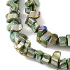 Natural Freshwater Shell Beads Strands BSHE-H018-07C-3