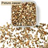 50G Natural Picture Jasper Chips G-YW0001-73-2