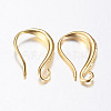 Brass Earring Hooks KK-K197-62G-2