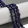 Natural Lapis Lazuli Beads Strands G-P544-D04-01-2