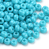 Baking Paint 8/0 Glass Seed Beads SEED-Q025-3mm-L09-2