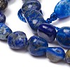 Natural Lapis Lazuli Beads Strands G-L493-40-2