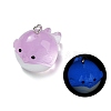 Luminous Resin Pendants RESI-R452-01F-1
