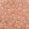 Glass Seed Beads SEED-C001-01A-3