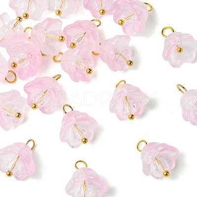20Pcs Glass & Acrylic Flower Pendants PALLOY-YW00107-06-1