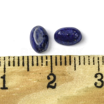Natural Lapis Lazuli Cabochons G-A094-01A-04-1