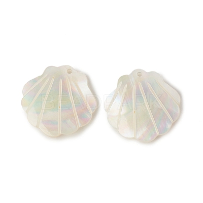 Natural Sea Shell Pendants SSHEL-T012-11-1