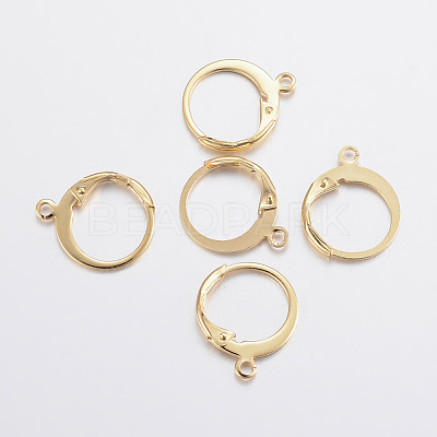 304 Stainless Steel Leverback Earring Findings X-STAS-F155-13G-1