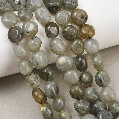 Natural Labradorite Beads Strands GG-CBA787B-A36-1
