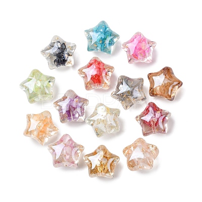 Transparent Resin & Natural Shell Beads RESI-B039-03B-1