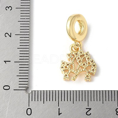Brass Micro Pave Cubic Zirconia European Dangle Charms ZIRC-I071-22G-02-1
