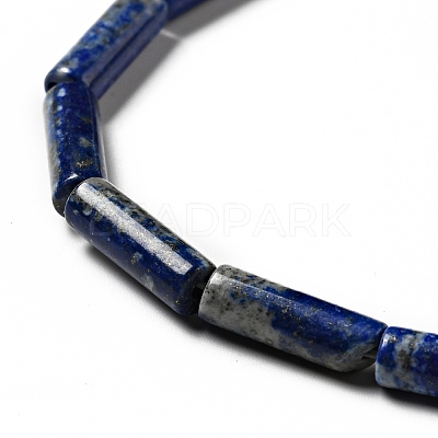 Natural Lapis Lazuli Beads Strands G-I326-05A-1