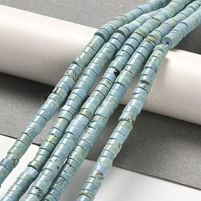 Natural Turquoise Beads Strands X-G-M422-C01-01-1