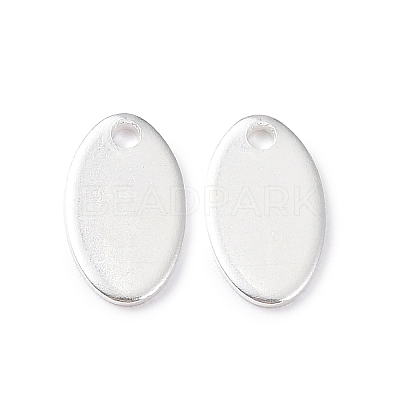 304 Stainless Steel Charms STAS-L234-065A-S-1