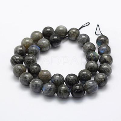 Natural Labradorite Beads Strands G-P322-31-12mm-1