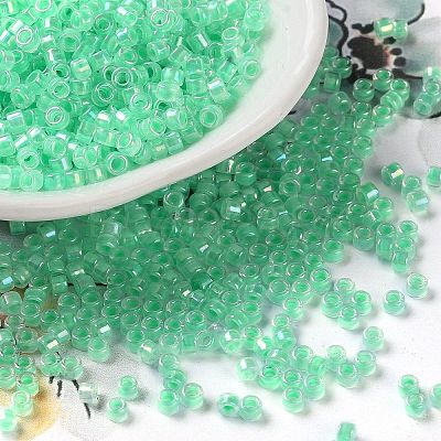 Glass Seed Beads SEED-S042-13A-11-1